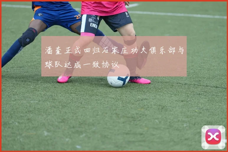 潘奎正式回归石家庄功夫俱乐部与球队达成一致协议