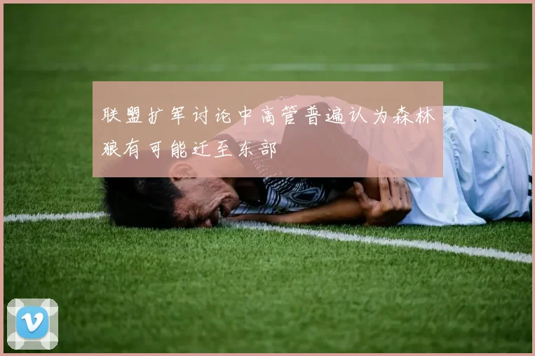 联盟扩军讨论中高管普遍认为森林狼有可能迁至东部