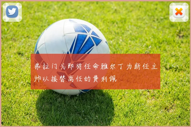 弗拉门戈即将任命雅尔丁为新任主帅以接替离任的费利佩