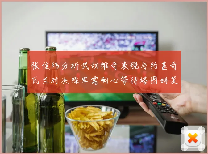 张佳玮分析武切维奇表现与约基奇瓦兰对决绿军需耐心等待塔图姆复出