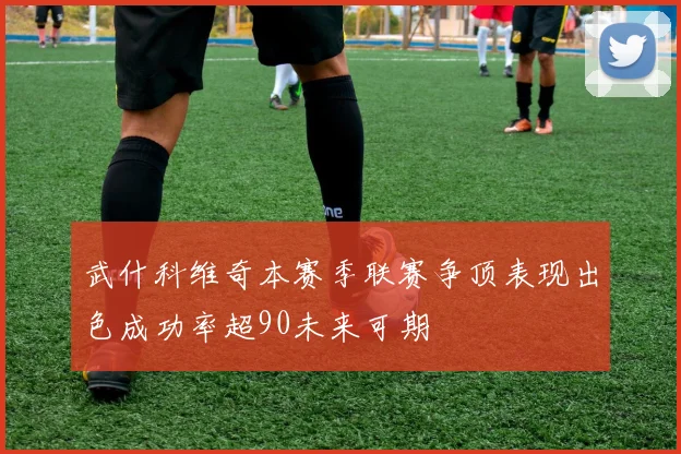 武什科维奇本赛季联赛争顶表现出色成功率超90未来可期